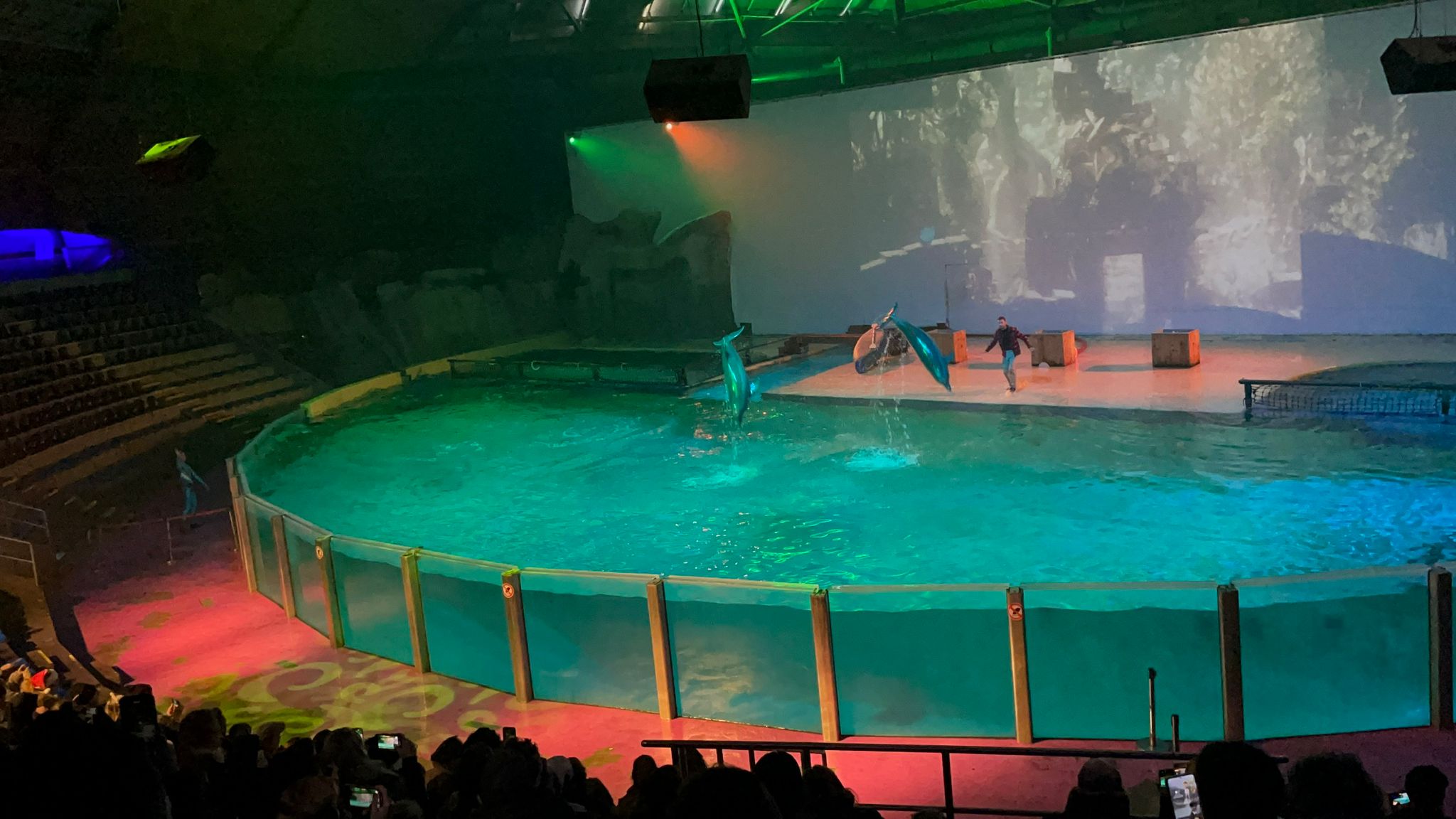 Sint-Martinus den XIIde - Winterkamp JVK 2024